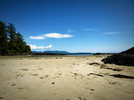 Beach at Tofino, BCの写真素材
