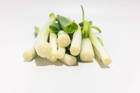 Leeks on white backgroundの写真素材