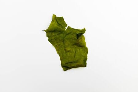 Healthy seaweed.の写真素材