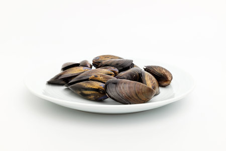 Shell of black shell. Crustacean seafood. Delicious seafood musselsの写真素材