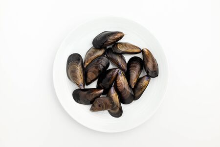 Shell of black shell. Crustacean seafood. Delicious seafood musselsの写真素材