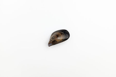Shell of black shell. Crustacean seafood. Delicious seafood mussels