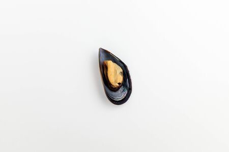 Seafood clams.の写真素材