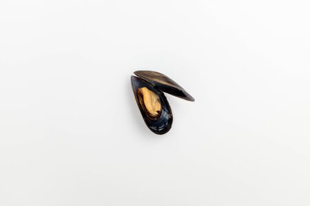 Seafood in black shell. Seafood clams.の写真素材