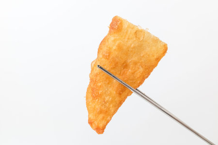 Fried dumplings. Crispy dumplings.