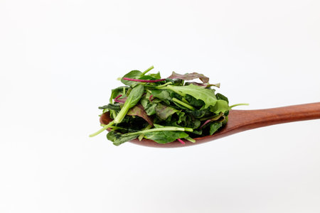 Small sprouts. Sprout vegetables. Salad ingredients. Soft leaves