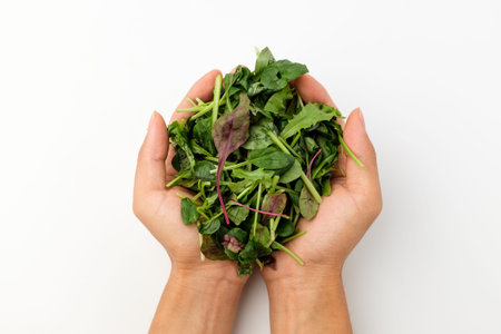 Small sprouts. Sprout vegetables. Salad ingredients. Soft leaves