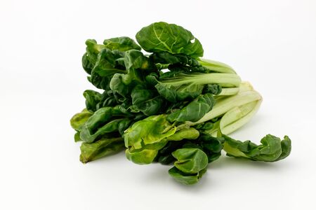 Fragrant vegetables. Leafy vegetables. Salad ingredientsの写真素材