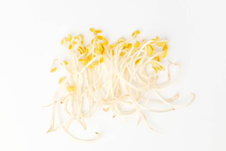 Plants grown in soybeans. Vegetables with a crispy texture. Yellow beansの写真素材