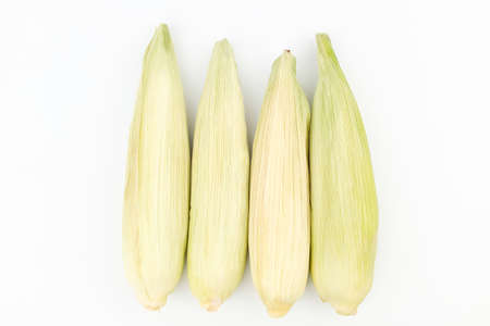 Korean leek food. Korean culture food. Spicy Korean vegetable dishの写真素材