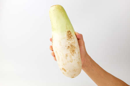 Biscuit with cheese. Dessert sweets that are crispy and feel. Thin and sweet biscuitsの写真素材