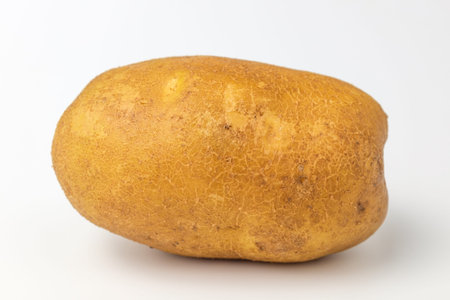 Raw potatoes with soil. Potatoes in a round shape. Beautiful and fresh potatoesの写真素材