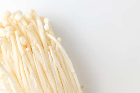 Thin mushrooms. Chewy mushroom. Plants growing on treesの写真素材