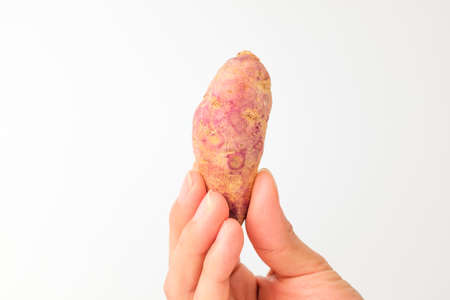 Plant raw. Oral crops. Sweet edible plantの写真素材