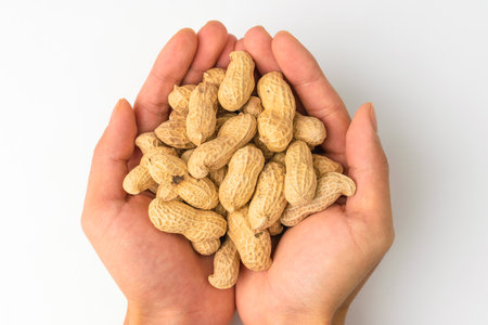 Savory nuts. Uncooked peanuts. Savory and hard vegetablesの写真素材