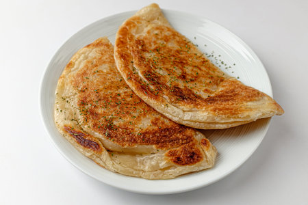 italian food made from wheat. Food with tomato sauce and cheese
