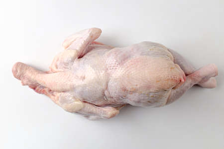 raw uncooked chicken.の写真素材