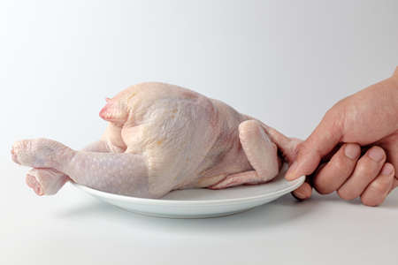 raw uncooked chicken.の写真素材