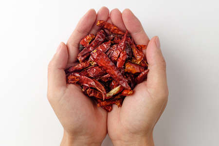 spicy small chilli. chilli from vietnam.の写真素材