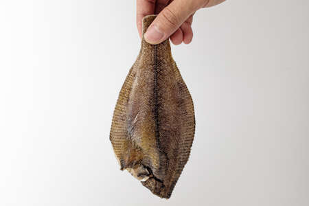 trimmed flat fish. trimmed seafood fish. soft and tender fishの写真素材