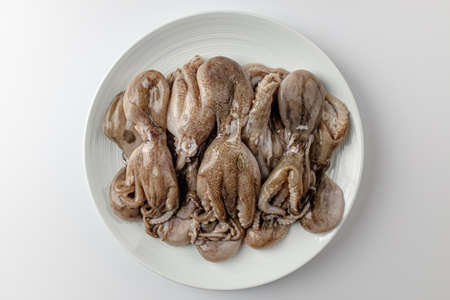 seafood with many legs. Seafood resembling an octopus. Seafood with a chewy textureの写真素材