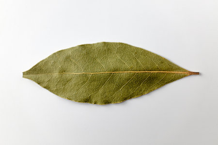 fragrant leaves. plants used as spices. dried leavesの写真素材