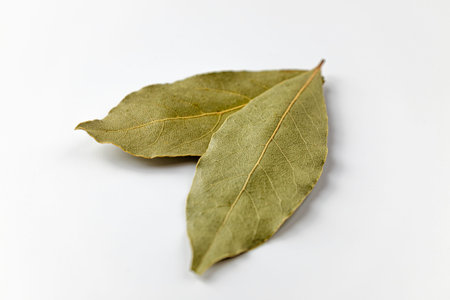 fragrant leaves. plants used as spices. dried leaves