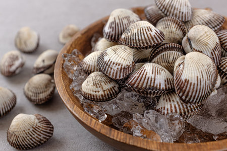 a type of shellfish. seafood ingredients. hard shell
