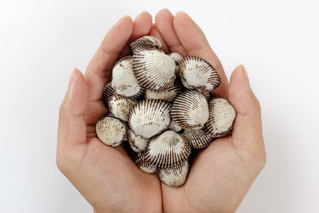 a type of shellfish. seafood ingredients. hard shell