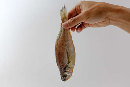 dried fish. salty and tender fish. Korean food cultureの写真素材