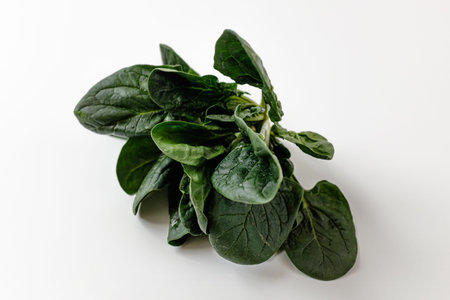 Green vegetables. Fragrant vegetables. Spinach for cooking
