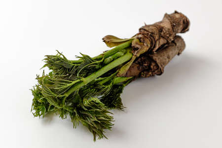 vegetables hanging on a tree. Korean food culture. strong flavored vegetablesの写真素材