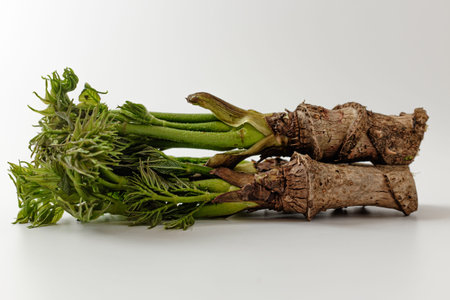 vegetables hanging on a tree. Korean food culture. strong flavored vegetables