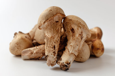 matsutake mushroom on a white background