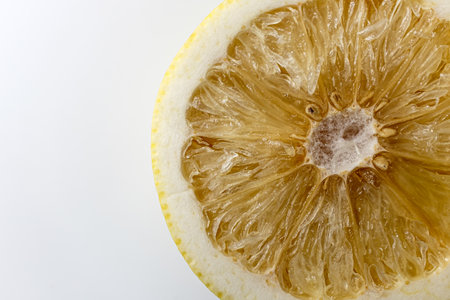 white grapefruit on a white backgroundの写真素材