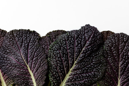 Red mustard leaves on a white background