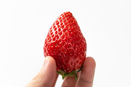 Kingsberry variety strawberries on a white backgroundの写真素材