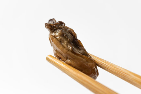 smoked oysters on a white backgroundの写真素材