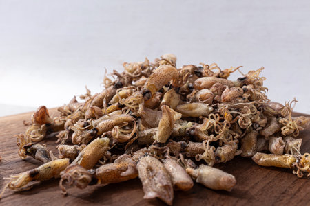 Small-sized dried Pencil squidの写真素材