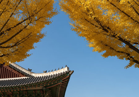 Traditional Korean Palace Roof with Yellow Ginkgo Trees in Autumnの素材