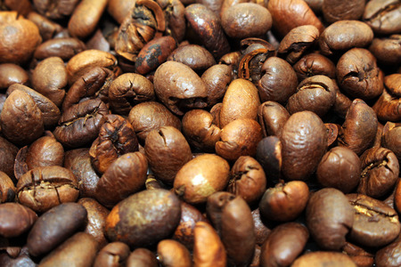 Indonesian roasted coffee beans, your source for a cup of coffee. Fresh!の写真素材