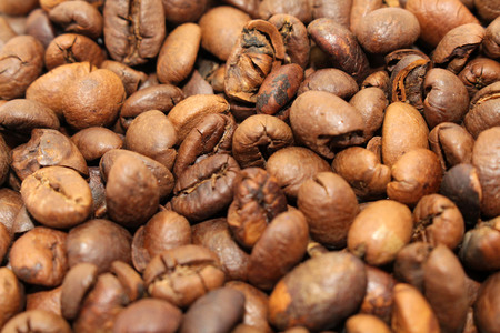 Indonesian roasted coffee beans, your source for a cup of coffee. Fresh!の写真素材