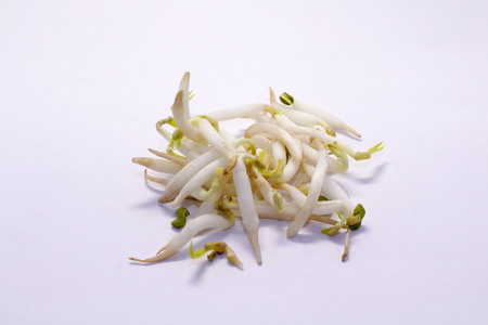 The mung bean sprouts, an important part in Asian dishes. Fresh one!の写真素材