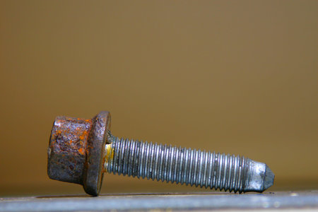 Rusty bolt