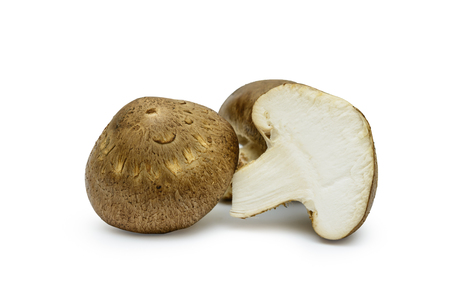 Shiitake Mushrooms isolated on white backgroundの写真素材