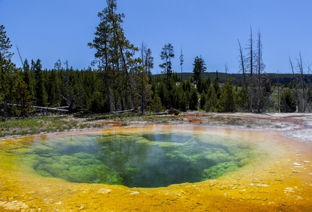 Bright colors of the Morning Glory Pool in Yellowstone National Park of Wyomingの写真素材