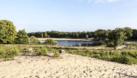 lake in forest in the Netherlandsの写真素材