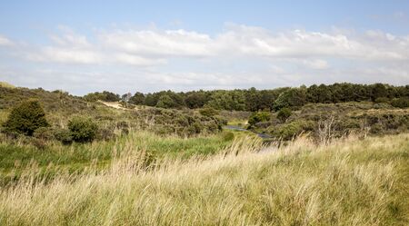 Dunes the Netherlandsの写真素材