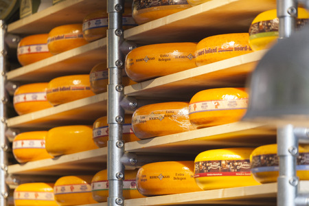 Dutch cheese on shelvesの写真素材