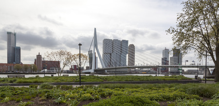 Erasmus Bridge over the River Meuse near by the Rotterdam Maas Building and towerのeditorial素材